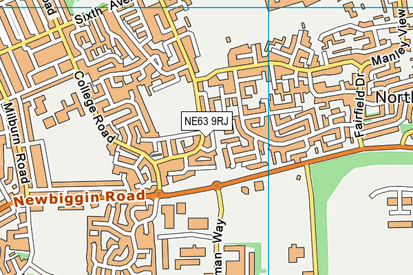 NE63 9RJ map - OS VectorMap District (Ordnance Survey)