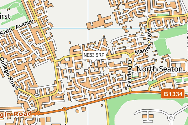 NE63 9RP map - OS VectorMap District (Ordnance Survey)
