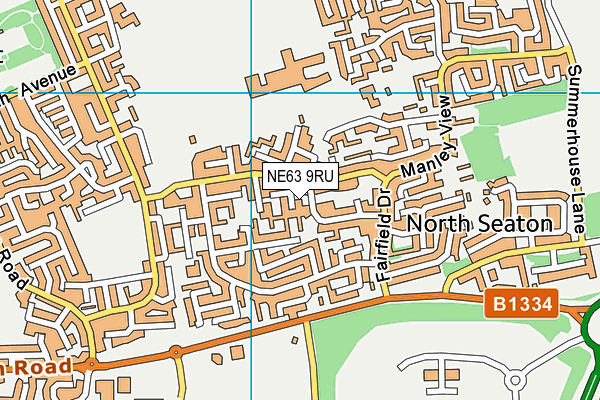 NE63 9RU map - OS VectorMap District (Ordnance Survey)