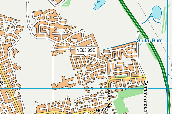 NE63 9SE map - OS VectorMap District (Ordnance Survey)