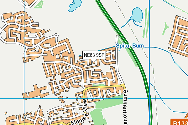 NE63 9SF map - OS VectorMap District (Ordnance Survey)