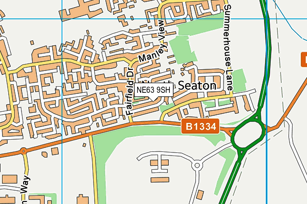 NE63 9SH map - OS VectorMap District (Ordnance Survey)