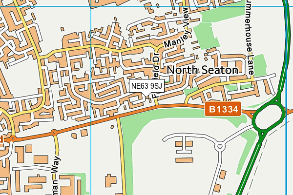 NE63 9SJ map - OS VectorMap District (Ordnance Survey)
