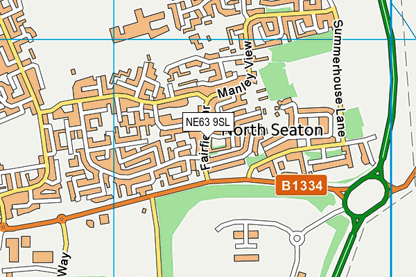 NE63 9SL map - OS VectorMap District (Ordnance Survey)