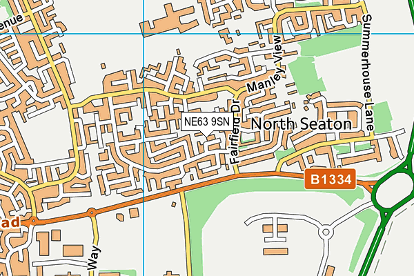 NE63 9SN map - OS VectorMap District (Ordnance Survey)