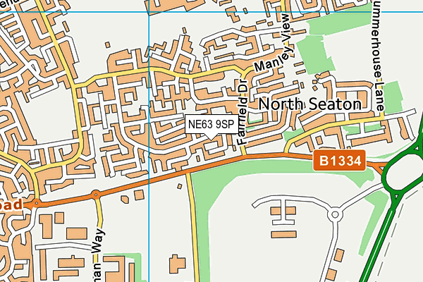 NE63 9SP map - OS VectorMap District (Ordnance Survey)