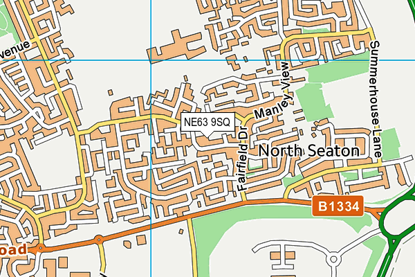 NE63 9SQ map - OS VectorMap District (Ordnance Survey)
