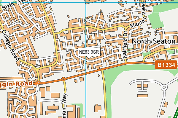 NE63 9SR map - OS VectorMap District (Ordnance Survey)