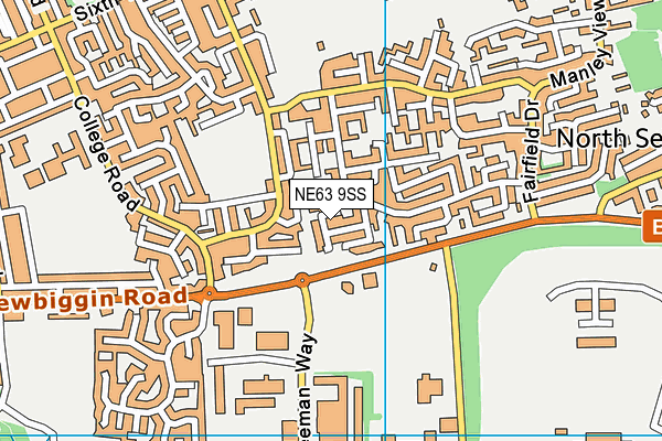 NE63 9SS map - OS VectorMap District (Ordnance Survey)