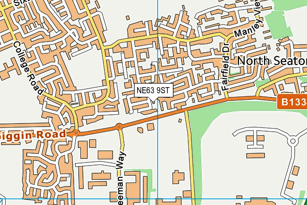 NE63 9ST map - OS VectorMap District (Ordnance Survey)