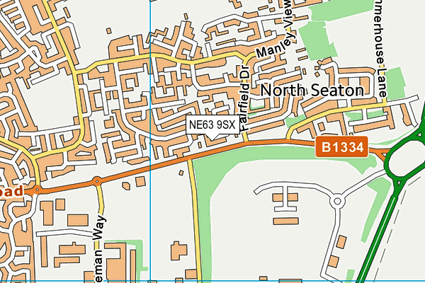 NE63 9SX map - OS VectorMap District (Ordnance Survey)