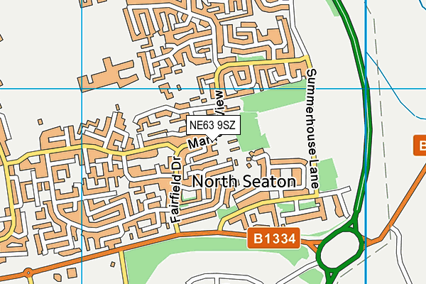 NE63 9SZ map - OS VectorMap District (Ordnance Survey)