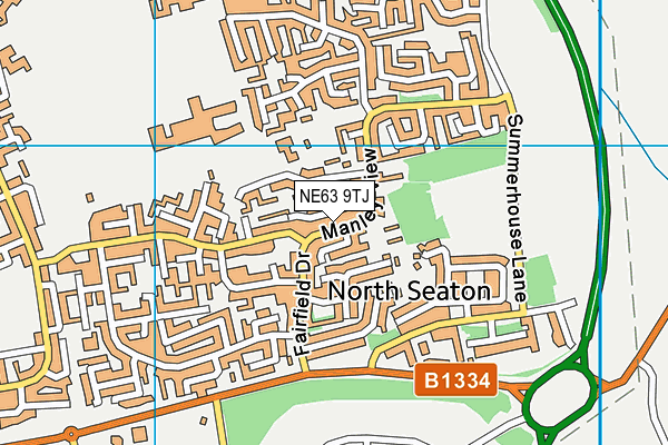 NE63 9TJ map - OS VectorMap District (Ordnance Survey)