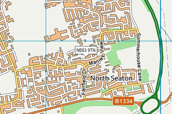 NE63 9TN map - OS VectorMap District (Ordnance Survey)