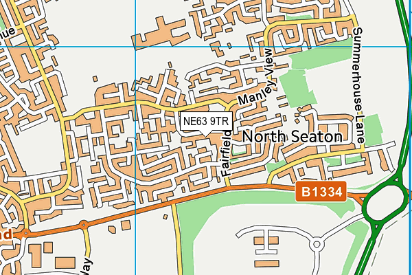 NE63 9TR map - OS VectorMap District (Ordnance Survey)