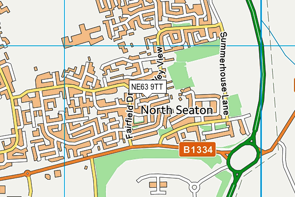 NE63 9TT map - OS VectorMap District (Ordnance Survey)