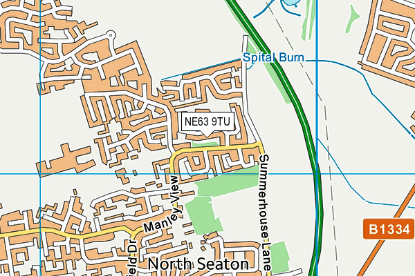 NE63 9TU map - OS VectorMap District (Ordnance Survey)
