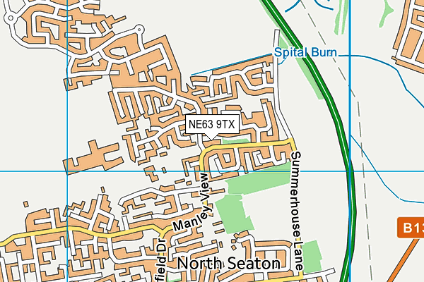 NE63 9TX map - OS VectorMap District (Ordnance Survey)