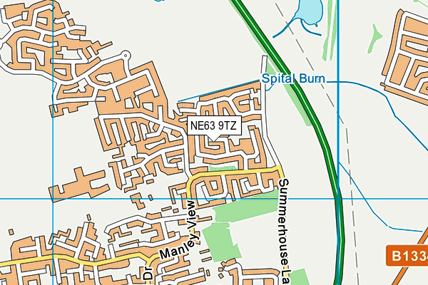 NE63 9TZ map - OS VectorMap District (Ordnance Survey)