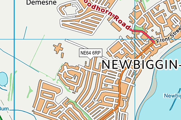 NE64 6RP map - OS VectorMap District (Ordnance Survey)