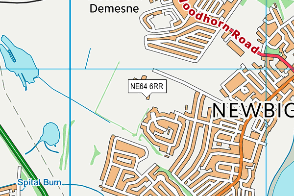 NE64 6RR map - OS VectorMap District (Ordnance Survey)