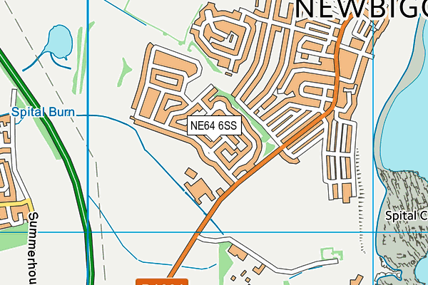 NE64 6SS map - OS VectorMap District (Ordnance Survey)