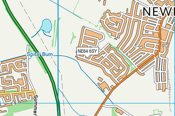 NE64 6SY map - OS VectorMap District (Ordnance Survey)