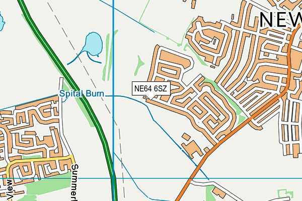 NE64 6SZ map - OS VectorMap District (Ordnance Survey)