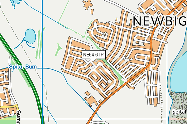 NE64 6TP map - OS VectorMap District (Ordnance Survey)