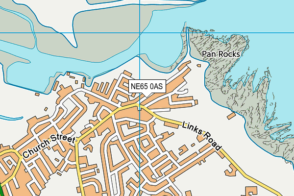 NE65 0AS map - OS VectorMap District (Ordnance Survey)