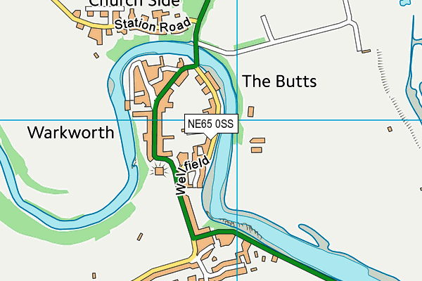 NE65 0SS map - OS VectorMap District (Ordnance Survey)