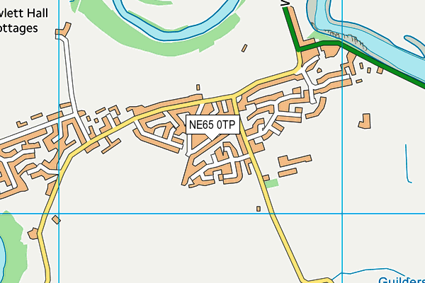 NE65 0TP map - OS VectorMap District (Ordnance Survey)