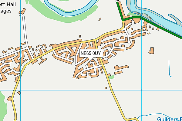 NE65 0UY map - OS VectorMap District (Ordnance Survey)