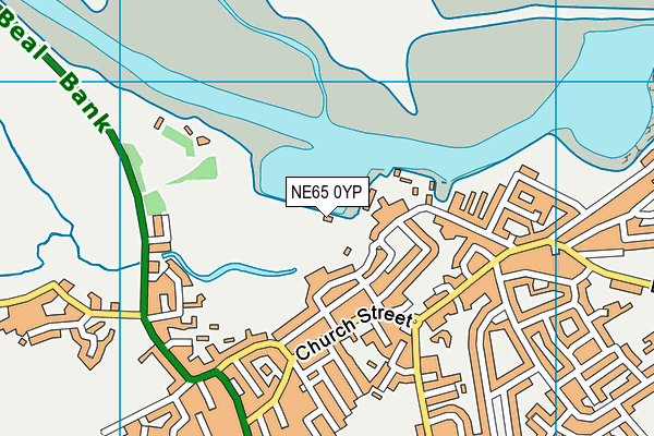 NE65 0YP map - OS VectorMap District (Ordnance Survey)