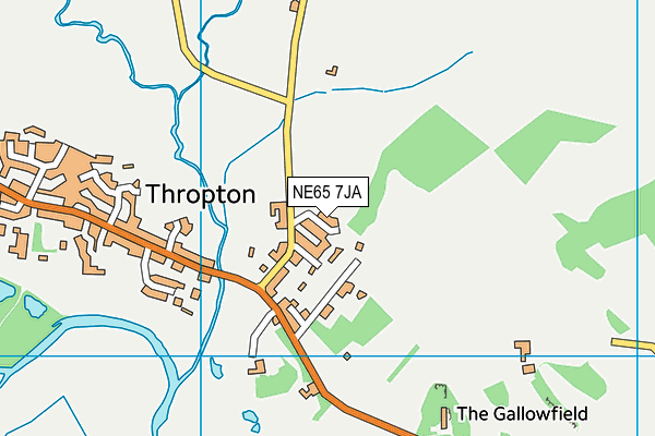 NE65 7JA map - OS VectorMap District (Ordnance Survey)