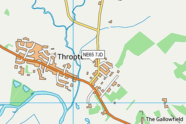 Thropton Village First School map (NE65 7JD) - OS VectorMap District (Ordnance Survey)