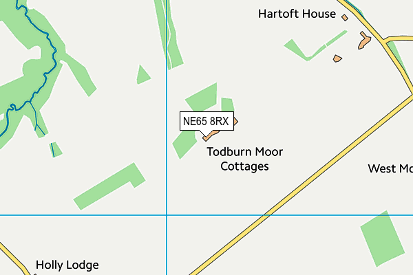 NE65 8RX map - OS VectorMap District (Ordnance Survey)