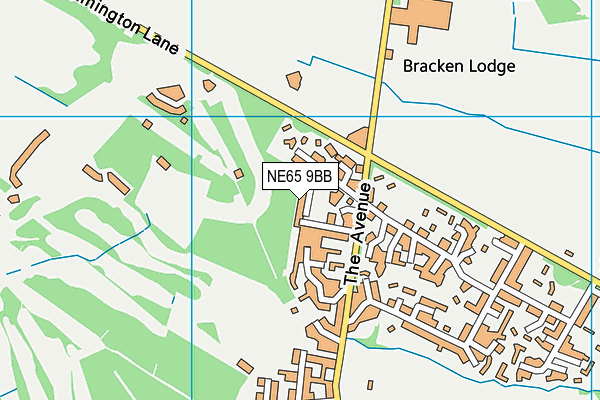 NE65 9BB map - OS VectorMap District (Ordnance Survey)