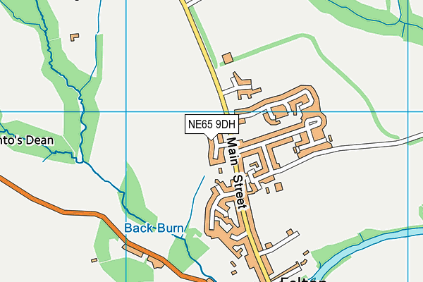NE65 9DH map - OS VectorMap District (Ordnance Survey)