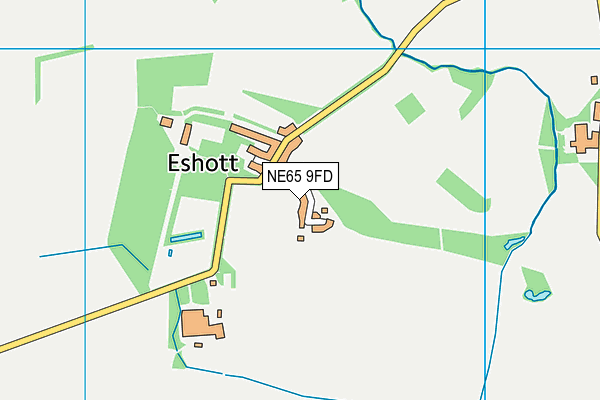 NE65 9FD map - OS VectorMap District (Ordnance Survey)