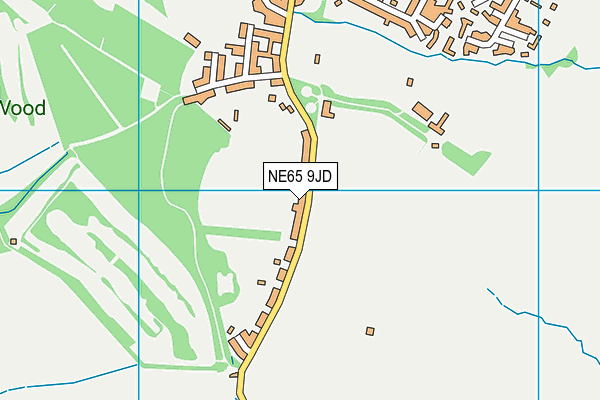 NE65 9JD map - OS VectorMap District (Ordnance Survey)