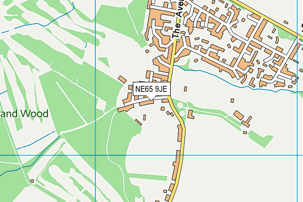NE65 9JE map - OS VectorMap District (Ordnance Survey)