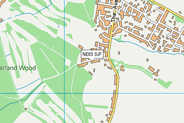 NE65 9JF map - OS VectorMap District (Ordnance Survey)