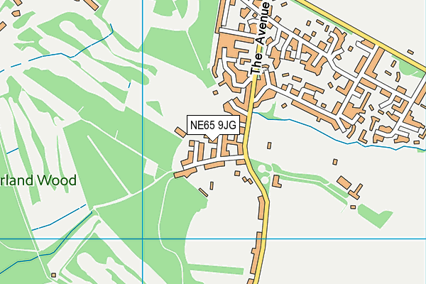 NE65 9JG map - OS VectorMap District (Ordnance Survey)