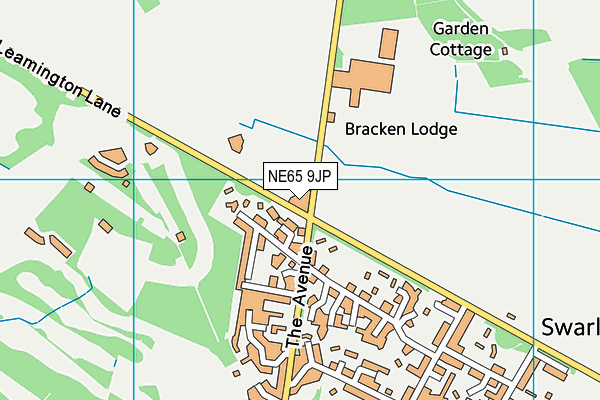 Swarland Primary School map (NE65 9JP) - OS VectorMap District (Ordnance Survey)