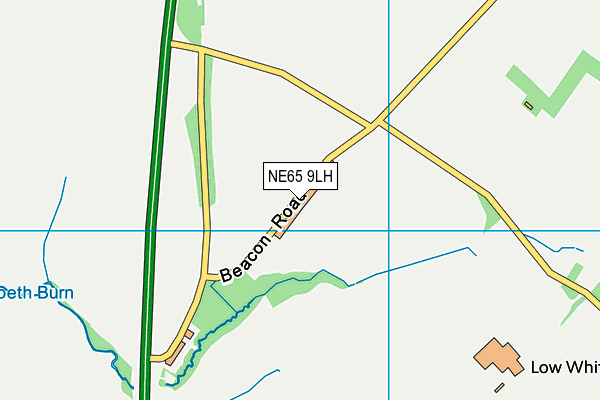 NE65 9LH map - OS VectorMap District (Ordnance Survey)