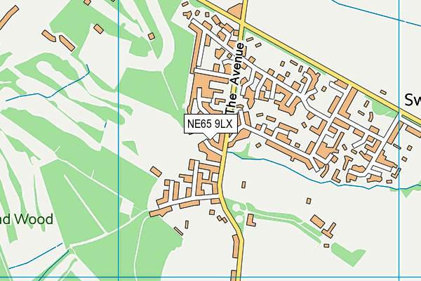 NE65 9LX map - OS VectorMap District (Ordnance Survey)