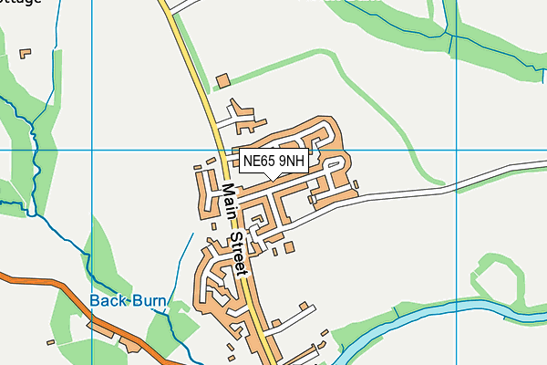 NE65 9NH map - OS VectorMap District (Ordnance Survey)