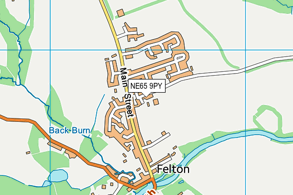 Felton Church of England Primary School map (NE65 9PY) - OS VectorMap District (Ordnance Survey)