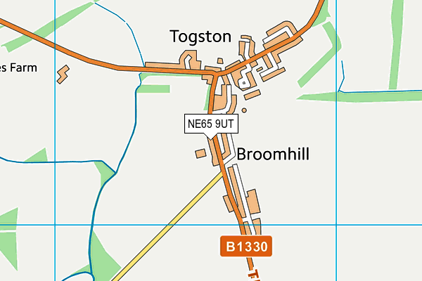 Broomhill First School map (NE65 9UT) - OS VectorMap District (Ordnance Survey)